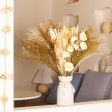 Ramo de mezcla de hierba de las pampas secas naturales, ramo de decoración bohemia para el hogar, flores secas de Phragmites, ramo de flores secas de colas de conejo para arreglos florales de boda en la habitación del hogar, fiesta en la mesa decoraciones Online Sale