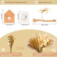 Ramo de mezcla de hierba de las pampas secas naturales, ramo de decoración bohemia para el hogar, flores secas de Phragmites, ramo de flores secas de colas de conejo para arreglos florales de boda en la habitación del hogar, fiesta en la mesa decoraciones Online Sale